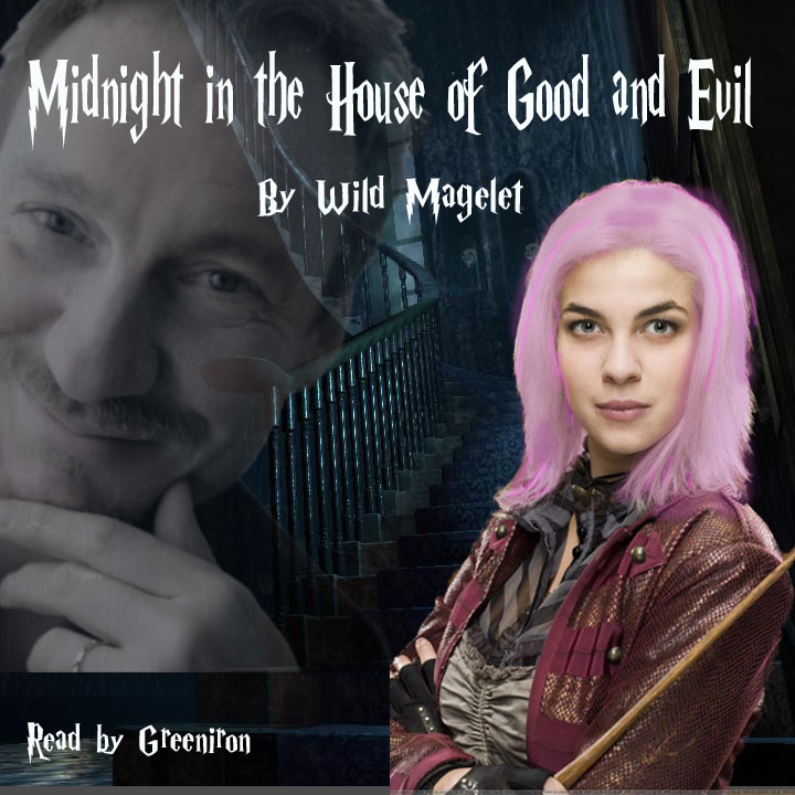 Midnight in the House of Good and Evil Cover
